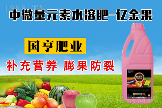 http://m.dnhic.com/pro/936162.html