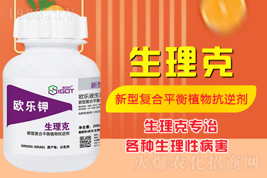 ����Ě������ʲô�Y������ô��Q����Ě������