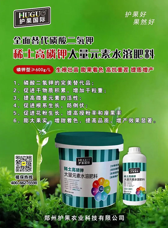 ⛷ʴ�q�r���@�N⛷���ݶ��������������������ռ���f�Ј�