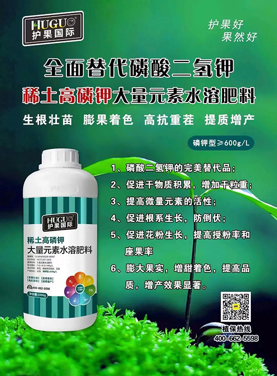 ⛷ʴ�q�r���@�N⛷���ݶ��������������������ռ���f�Ј�