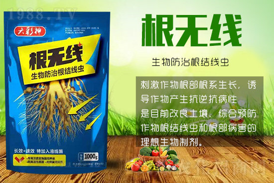 根結線蟲殺死容易殺絕難!這樣防治效果好到驚人!