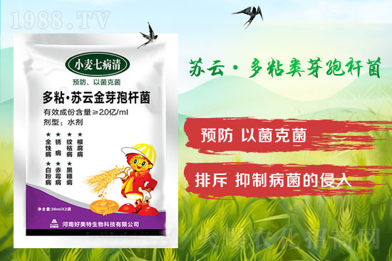 四月小麥赤霉病多發(fā)，不要錯(cuò)過(guò)防治時(shí)間！