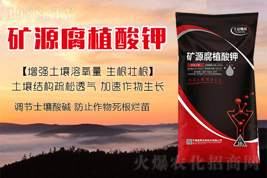 作物種植操作不當(dāng)易傷根!怎樣改善根系狀況呢?