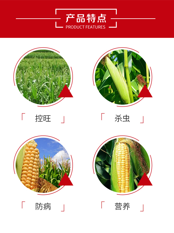 ��������-���ְ���_03