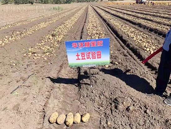     �@�����۷��r(n��ng)�YȦ������ԭ����Ȼ���ͳɱ��߷�Ч�_��(chu��ng)�ߣ�