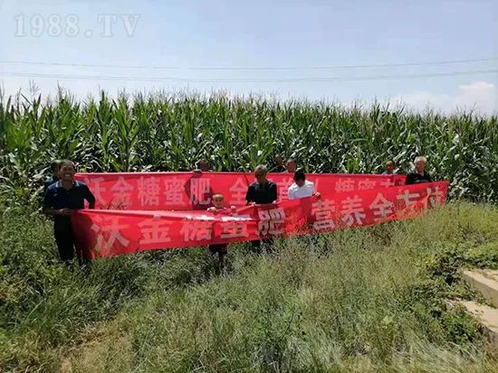     �@�����۷��r(n��ng)�YȦ������ԭ����Ȼ���ͳɱ��߷�Ч�_��(chu��ng)����