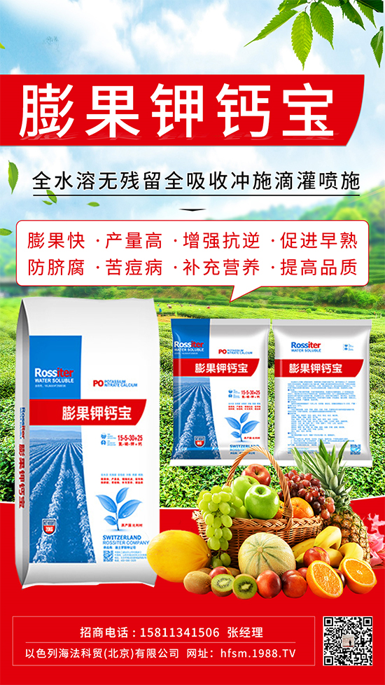 柑橘進(jìn)入膨大期，如何提升“顏值”？這個(gè)方案值得擁有！