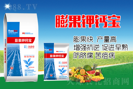 柑橘進(jìn)入膨大期，如何提升“顏值”？這個(gè)方案值得擁有！