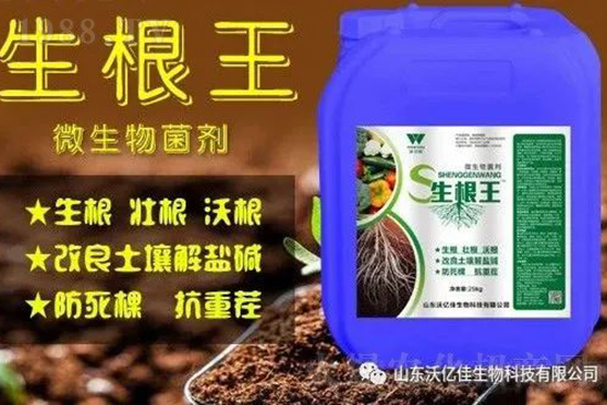 作物重茬、爛根死棵嚴重啥原因？如何改善這些難題？