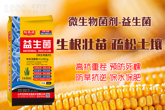 ������������Ѹ����L�ݸ�ïʢ���W���@Щ�°빦����