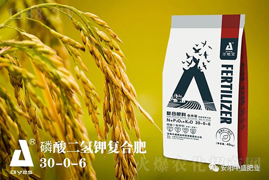 水稻分蘗不好對(duì)產(chǎn)量有多大影響?促進(jìn)水稻分蘗怎么做?