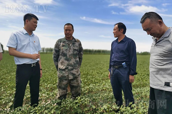 ���r(n��ng)���½������k��̎ؓ؟�ˣ�ͬ·ͬ�й��l(f��)չ