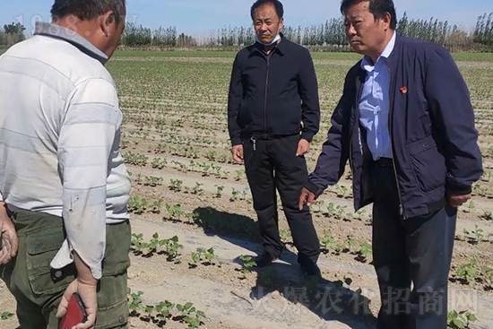 ���r(n��ng)���½������k��̎ؓ؟�ˣ�ͬ·ͬ�й��l(f��)չ