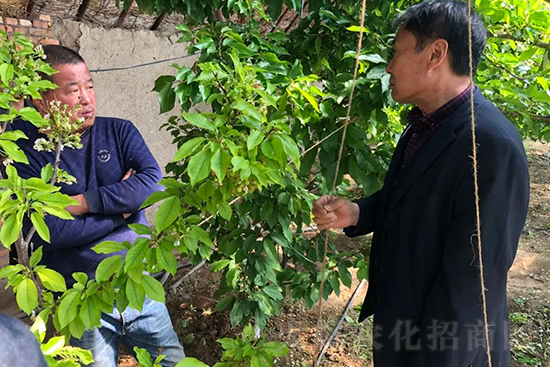 ���r(n��ng)���½������k��̎ؓ؟�ˣ�ͬ·ͬ�й��l(f��)չ