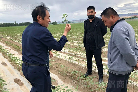 ���r(n��ng)���½������k��̎ؓ؟�ˣ�ͬ·ͬ�й��l(f��)չ