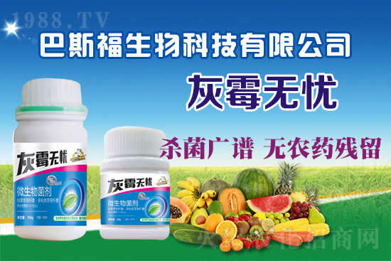 葡萄灰霉病危害嚴(yán)重！葡萄灰霉病如何防治？