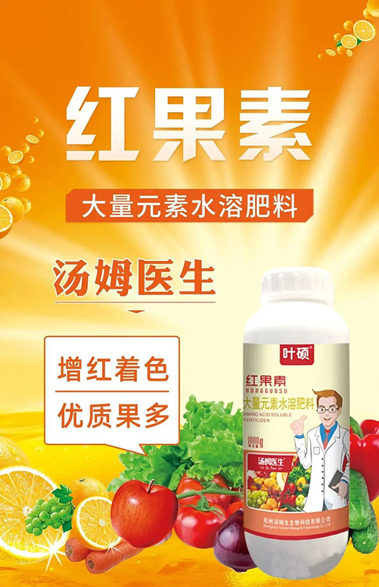 �t���ء�ֻ���D(zhu��n)ɫ�������D(zhu��n)ɫ���������߼t���ó���