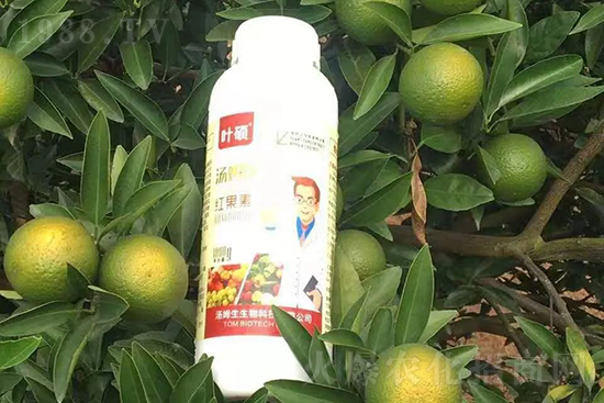 �t���ء�ֻ���D(zhu��n)ɫ�������D(zhu��n)ɫ���������߼t���ó���