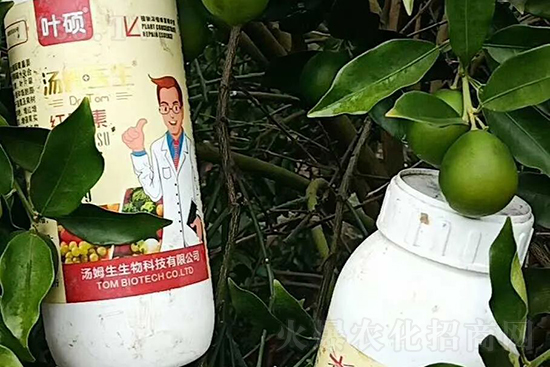 �t���ء�ֻ���D(zhu��n)ɫ�������D(zhu��n)ɫ���������߼t���ó���