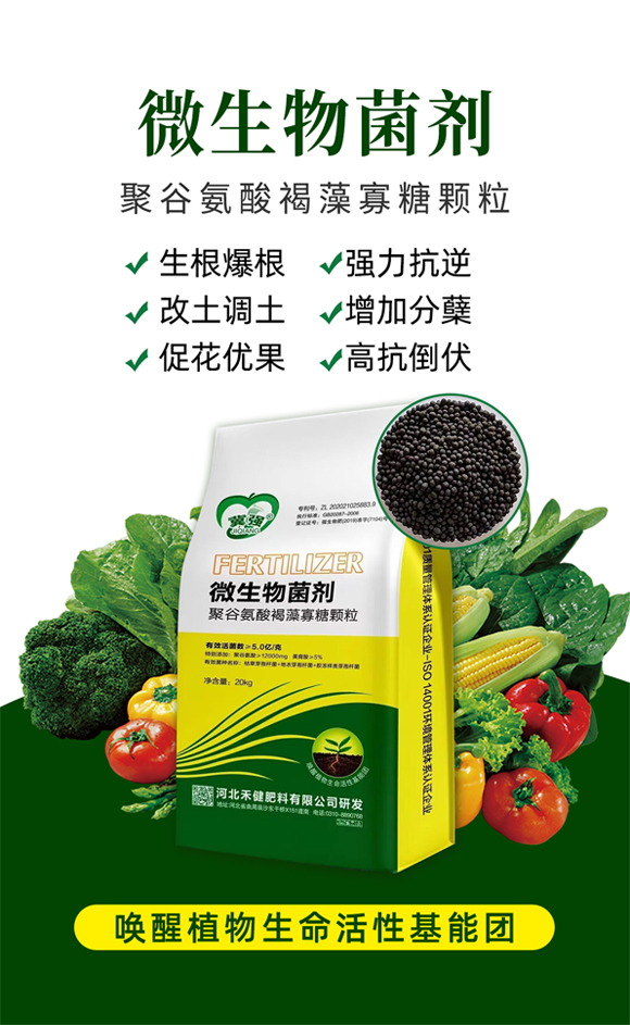 �۹Ȱ����������w��-�̽�_01