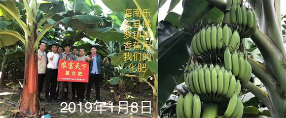 ��������������(f��)����15-4-28�r(n��ng)������4