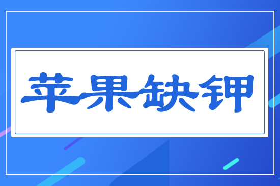 �O(p��ng)��ȱ�