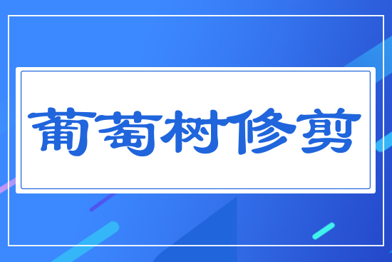 ���ј��޼�