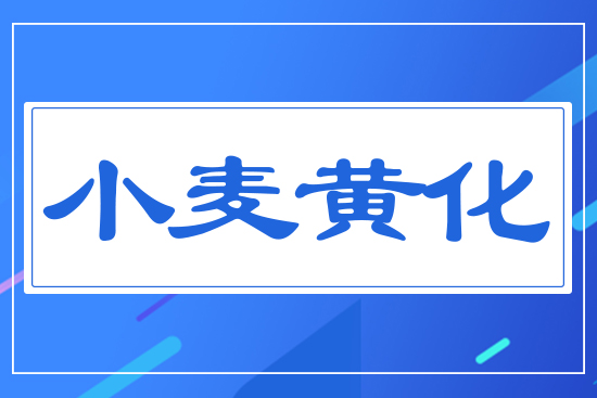 С���S��