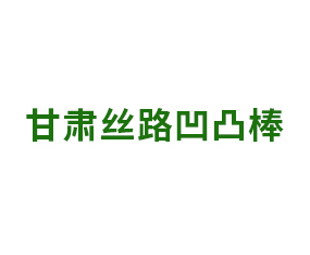 甘肅絲路凹凸棒新材料有限責(zé)任公司