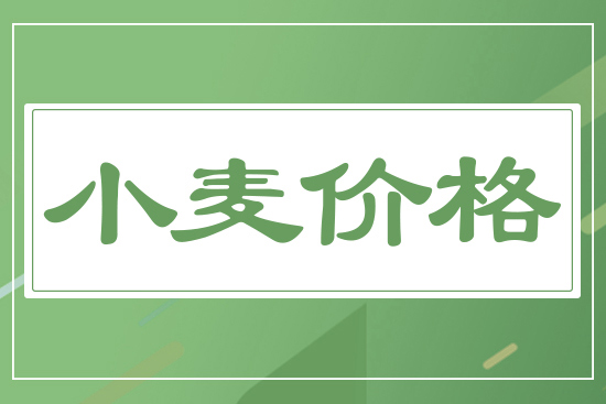 2026年6月2日國(guó)內(nèi)小麥價(jià)格行情快報(bào)