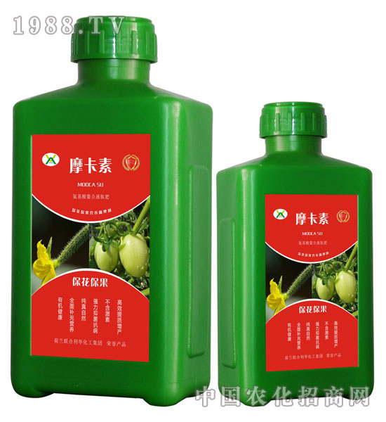 ?；ū９被狎弦弘姆?摩卡素-強(qiáng)芯國(guó)際