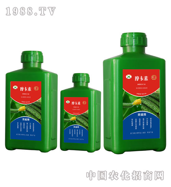 SόðҺķ-Ħ-(qing)о(gu)H