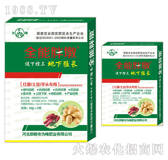 紅薯、土豆、芋頭專用-全能胖墩-為峰