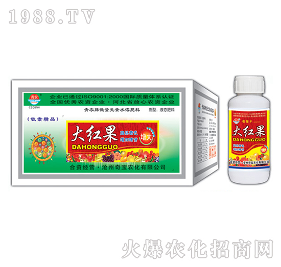 200g大紅果-奇寶農(nóng)化