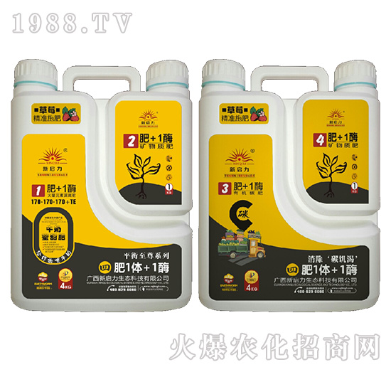 ��ݮ���ã�ƽ������-��1�w+1ø-����