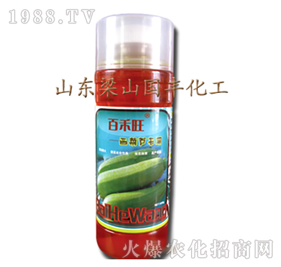 西葫蘆專(zhuān)用葉面肥-梁山國(guó)豐