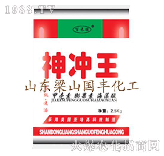 神沖王-梁山國(guó)豐