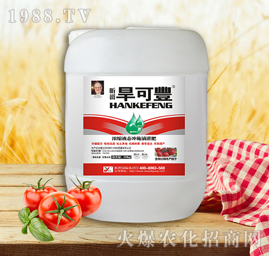 旱可豐西紅柿10kg