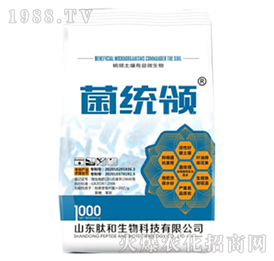 ���y(t��ng)�I(l��ng)-�ĺ�����