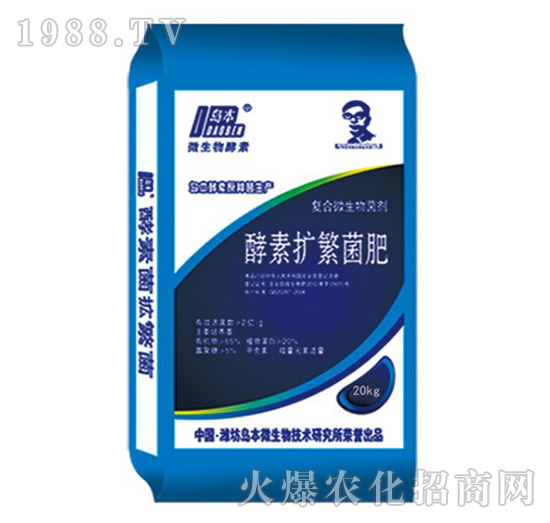 ���ؔU������-�A�I����