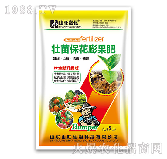 ������������-ɽ������