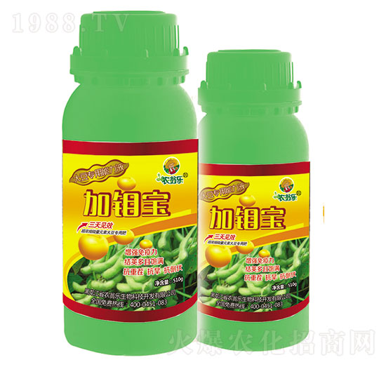 ���(l��i)��(zhu��n)��-���f��-�r(n��ng)�̘�(l��)