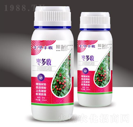 棗多收-千里豐歌-穗滿倉