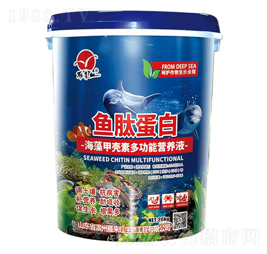 ����ך��ض๦�ܠI(y��ng)�B(y��ng)Һ-�~�ĵ���-����t