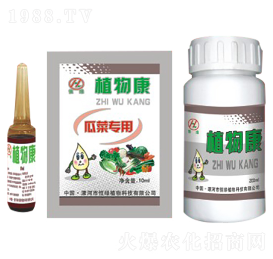 植物康套餐-恒綠植物