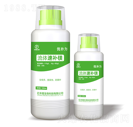 ���w���a�V-���a��-�|�S¡