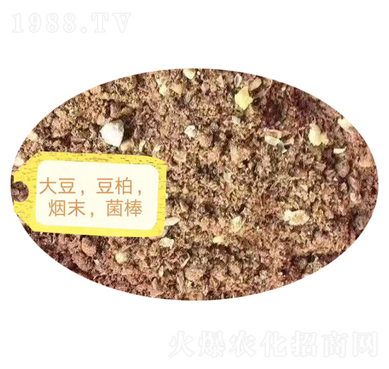 �������ء���ĩ��������-�Z�M�}