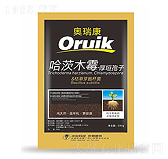 �W��-�����Ƽ�