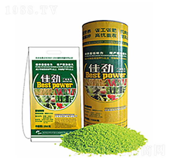 �ф�-�����Ƽ�