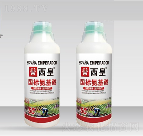 ����(bi��o)������-����-����˹�D